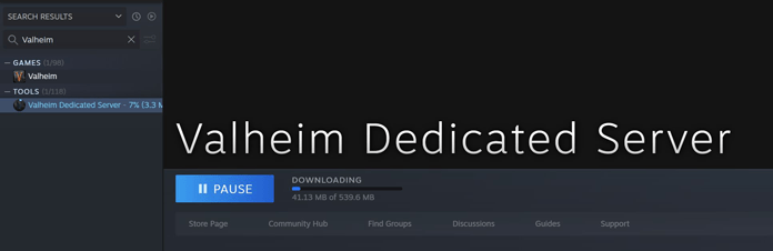 Valheim-Server aufsetzen