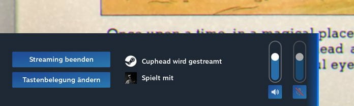 Steam Remote Play Together - In 6 einfachen Punkten erklärt 17 Steam Remote Play Together