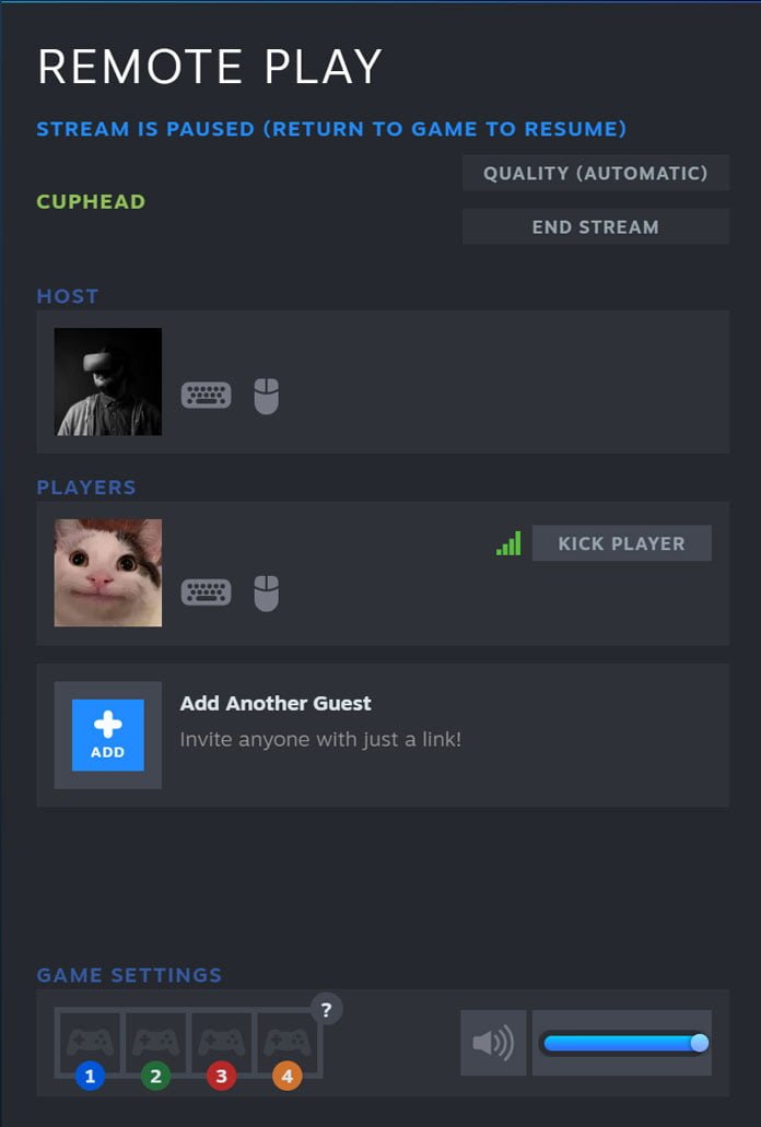 Steam Remote Play Together - In 6 einfachen Punkten erklärt 18 Steam Remote Play Together