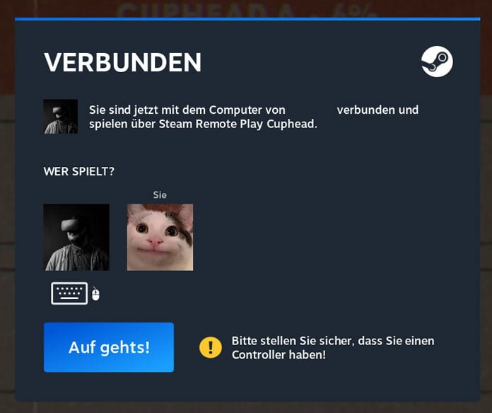 Steam Remote Play Together - In 6 einfachen Punkten erklärt 16 Steam Remote Play Together