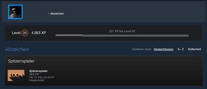 Steam Level erhöhen: Mit diesen 3 Abzeichen ganz schnell dein Steam Level steigern 11 Steam Level erhöhen
