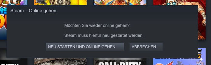 Steam offline nutzen: So kannst du ohne Internet zocken 11 Steam offline nutzen