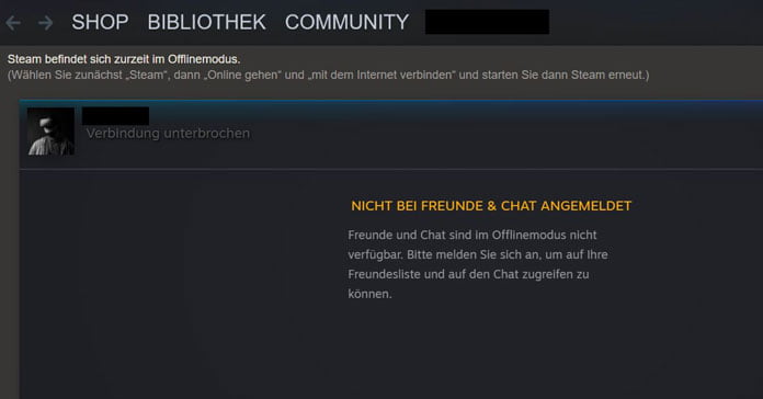 Steam offline nutzen: So kannst du ohne Internet zocken 10 Steam offline nutzen