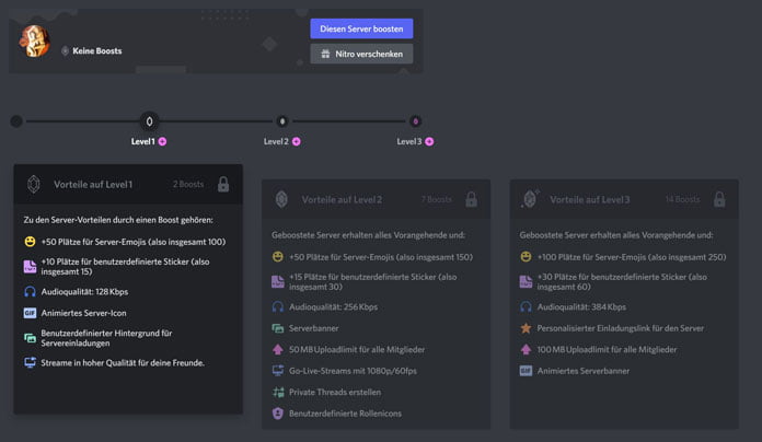 Discord Server boosten Vorteile